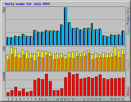 Daily usage for July 2025