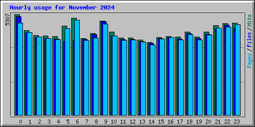 Hourly usage for November 2024