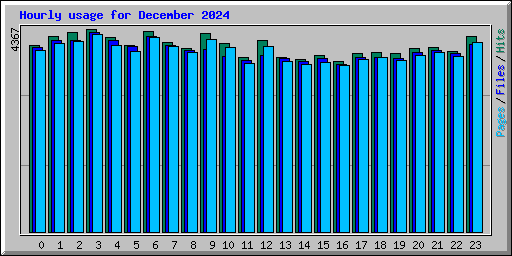 Hourly usage for December 2024