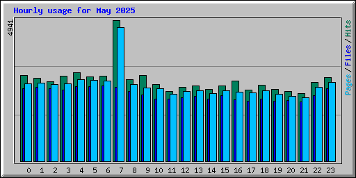 Hourly usage for May 2025