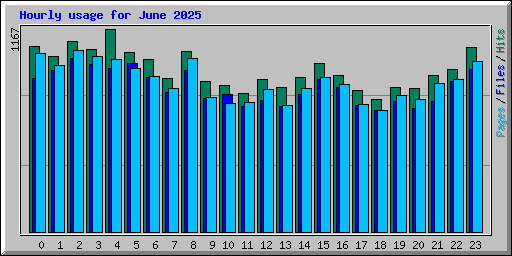 Hourly usage for June 2025