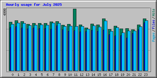 Hourly usage for July 2025