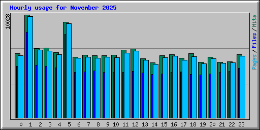 Hourly usage for November 2025