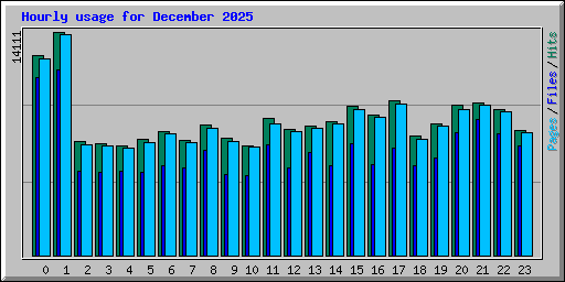 Hourly usage for December 2025