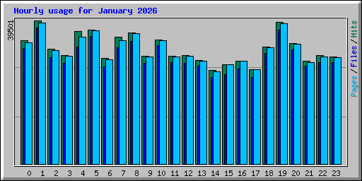Hourly usage for January 2026