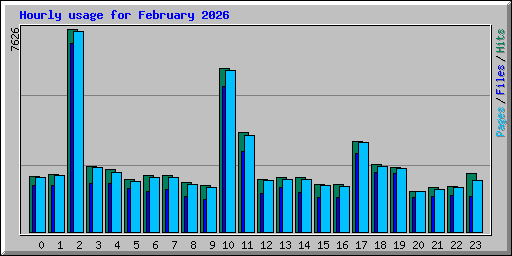 Hourly usage for February 2026