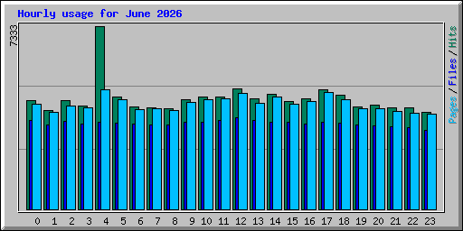 Hourly usage for June 2026