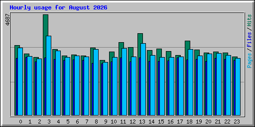 Hourly usage for August 2026