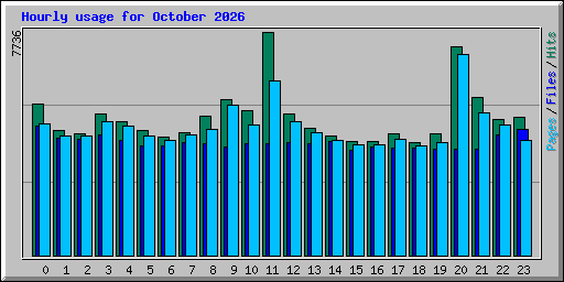 Hourly usage for October 2026